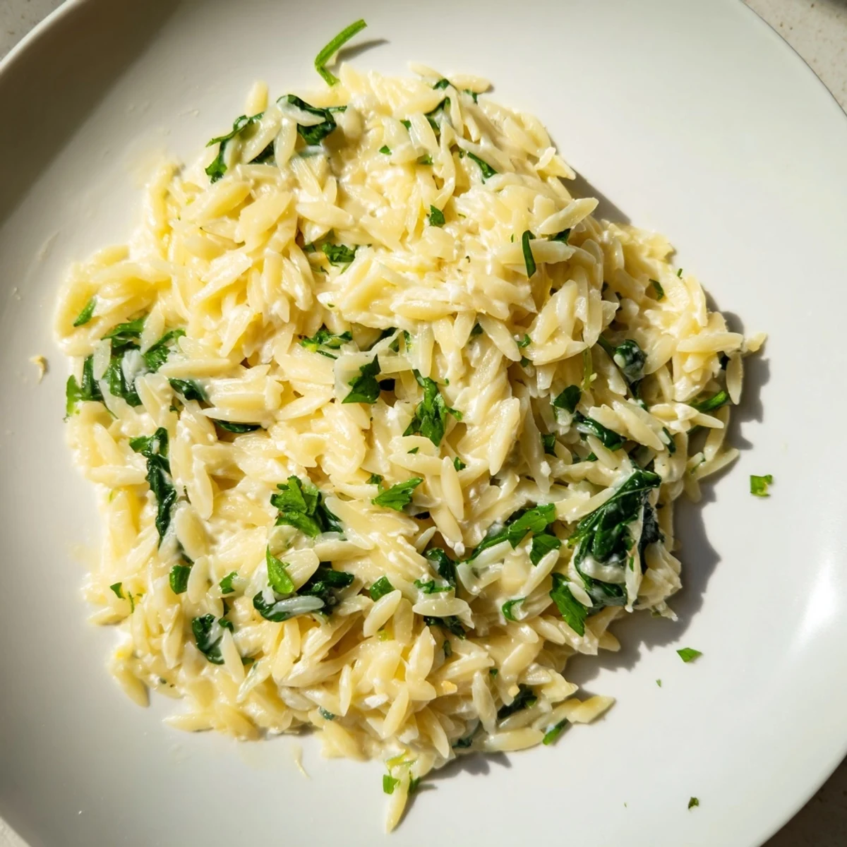 Steaming bowl of one-pot creamy orzo garnished with fresh parsley, ready to enjoy.