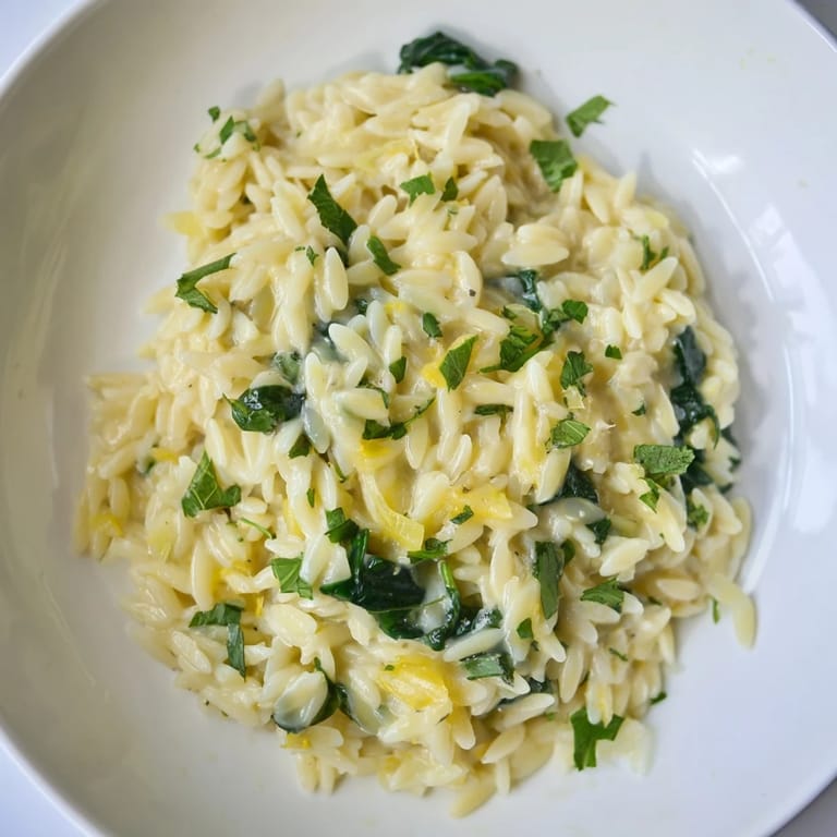 A close-up of the finished one-pot creamy orzo, showing the cheesy, creamy sauce.