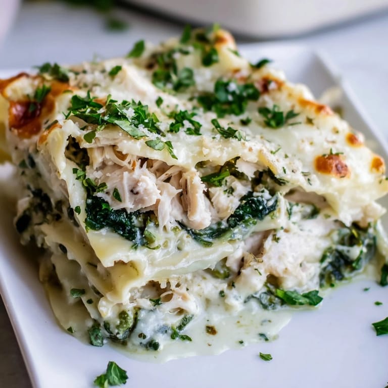 A rich Chicken Alfredo Lasagna layered beautifully, showing tender chicken and creamy Alfredo sauce, ready to serve.